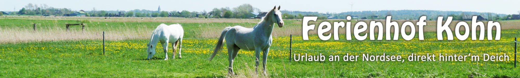 Urlaub an der Nordsee - Ferienhof Kohn